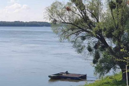 Dunav Dalj