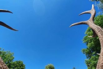 lovci trofeji vardarac